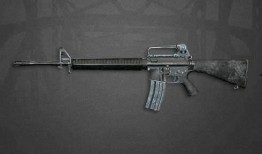 小学生步枪爆料视频,揭秘校园枪支安全隐患