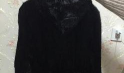 貂女在线观看,在线观看，揭秘古代美女的传奇人生